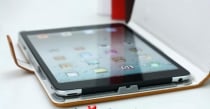 Dandelion Smart Cover Fodral till iPad Mini