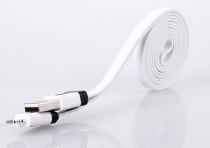 Colorful Noodle Mini Cable till iPad4 and iPhone5