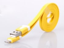 Colorful Noodle Mini Cable till iPad4 and iPhone5